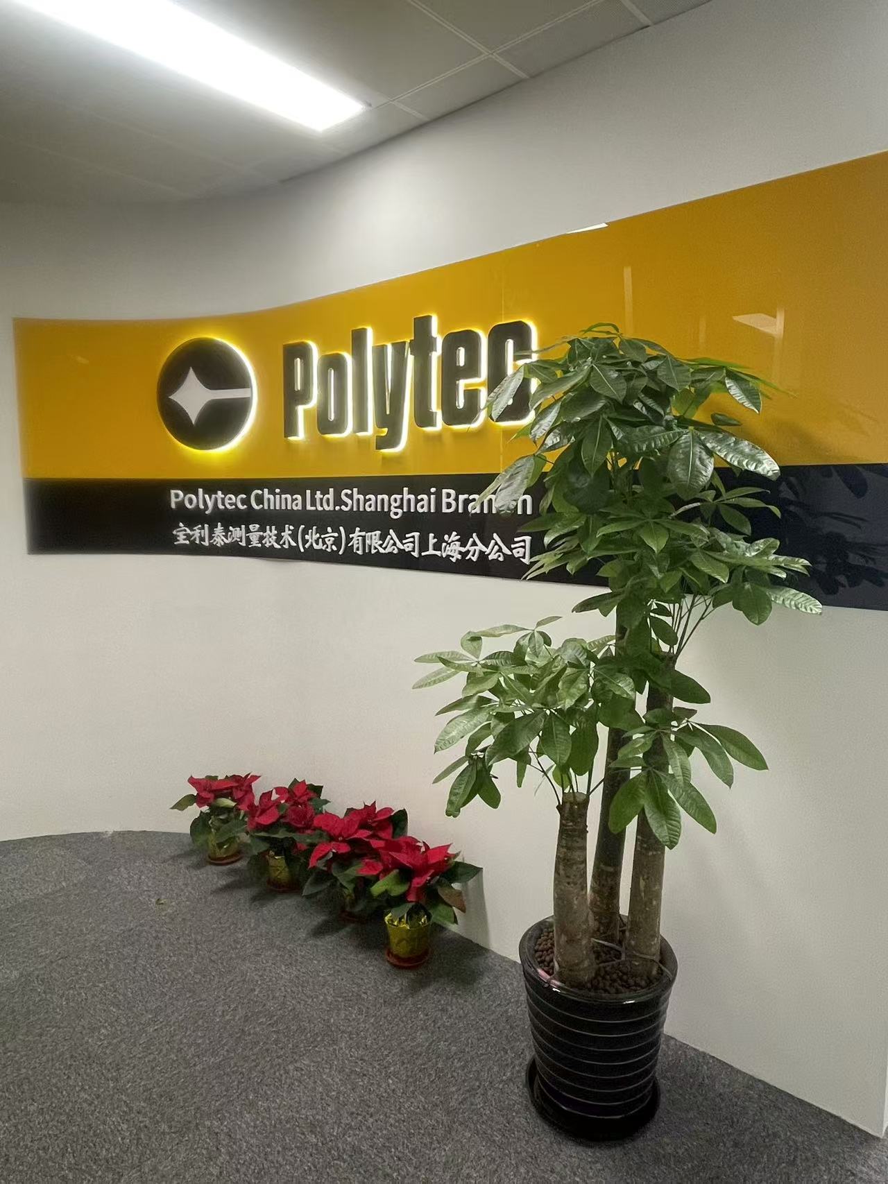 上海分公司正式開業！新征程啟航，邀您共襄盛舉。璀璨開幕，見證輝煌！